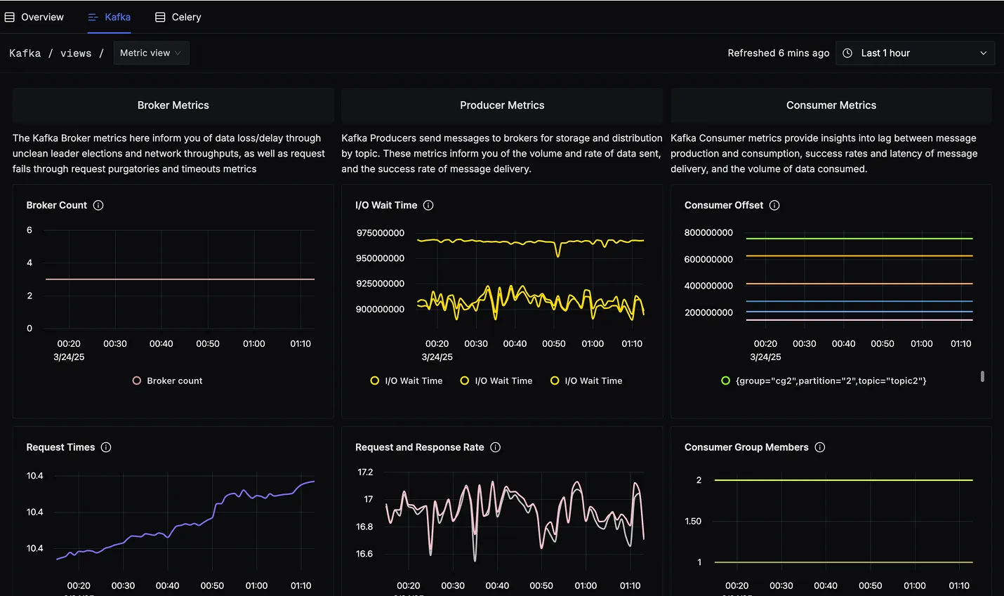 Metric View