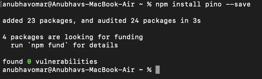 Installing Pino via npm