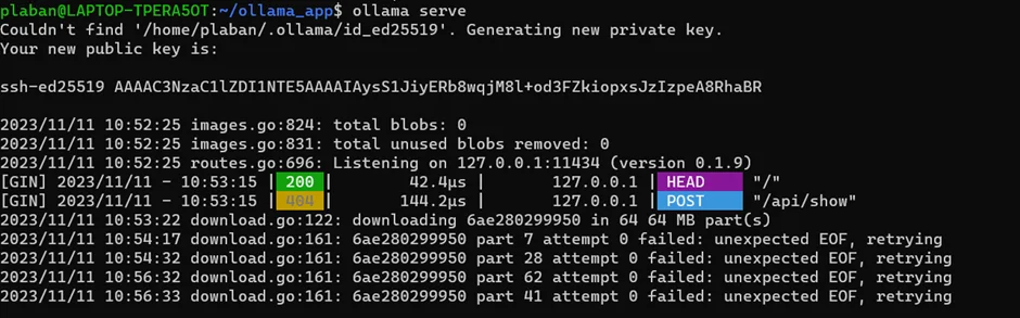 Ollama serve output